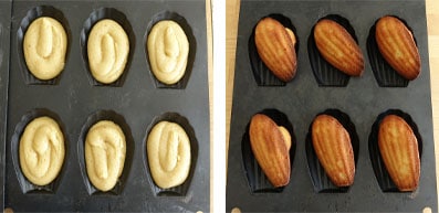 La recette des Madeleines au rooibos