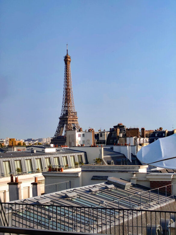 3-oiseau-blanc-paris